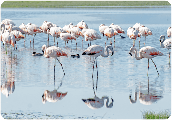 Imagen de bienvenida